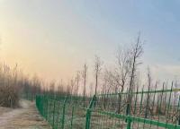 框架護欄網為什么經常做成1.8米高？